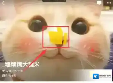 nice头像