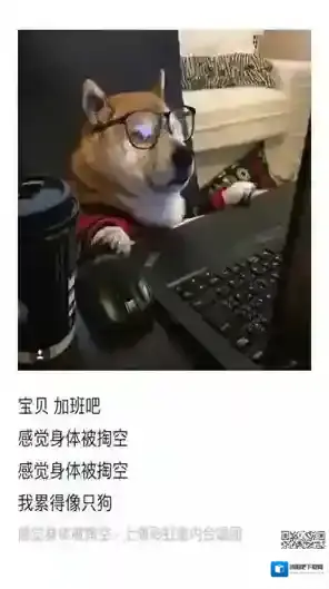 有声照片利用