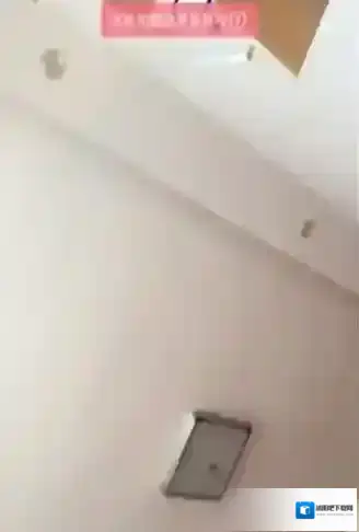 天天P图点击
