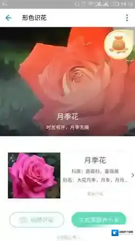 支付宝过几天