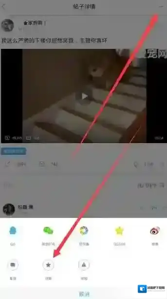 最右收藏