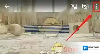 哔哩哔哩点击