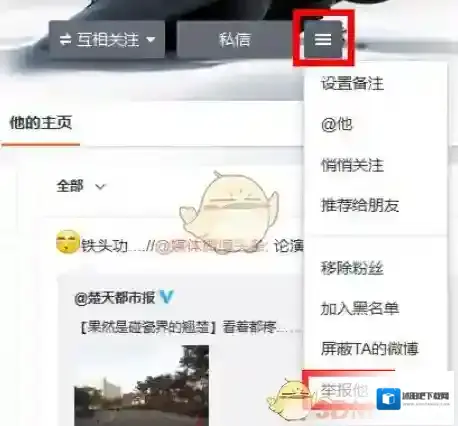 新浪微博按钮