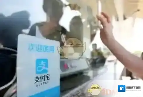支付宝合种