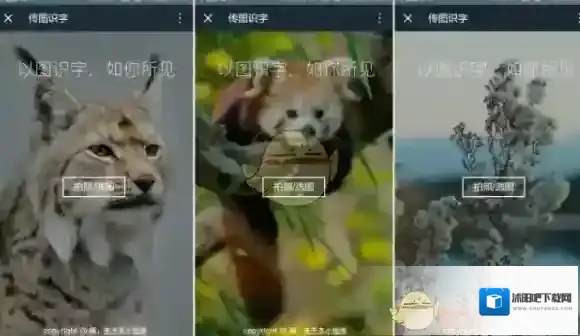 微信图片
