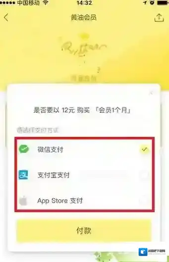黄油相机付款