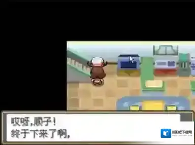 口袋妖怪宠物