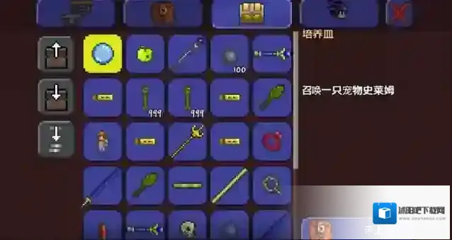 泰拉瑞亚召唤