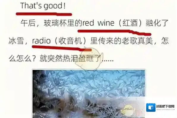 微博小伞