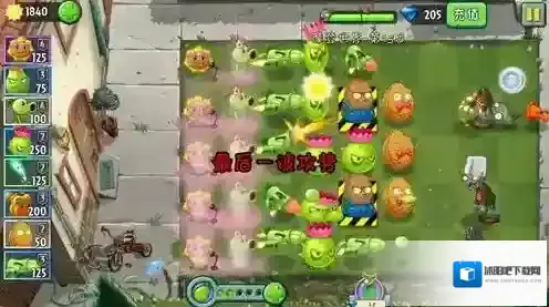 植物大战僵尸2导向蓟