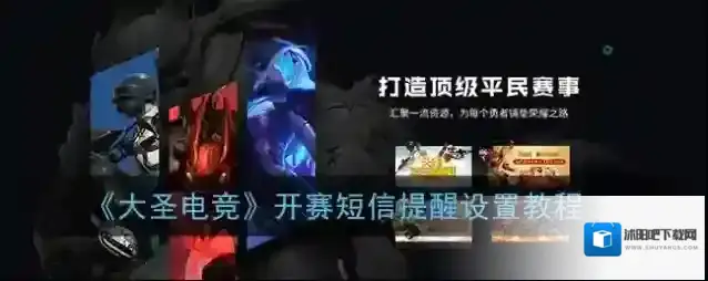 大圣电竞界面