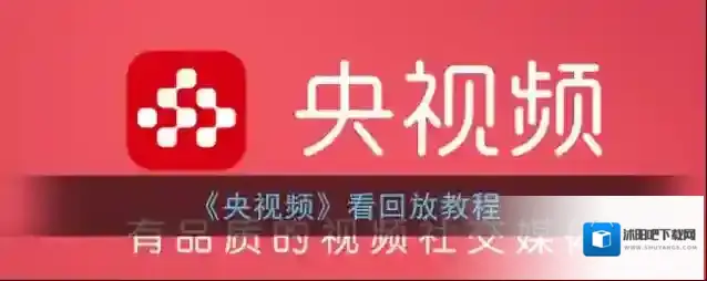 央视频回看