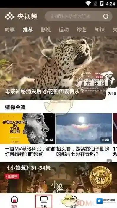 央视频点击