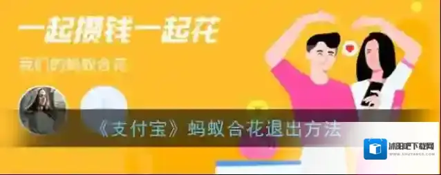 支付宝合花