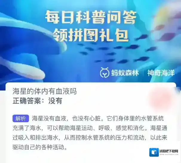 支付宝答案大全
