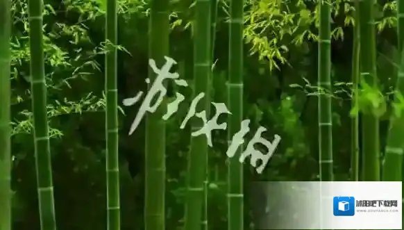 新浪微博男性