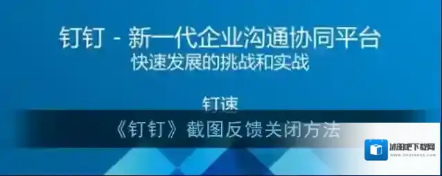 钉钉反馈