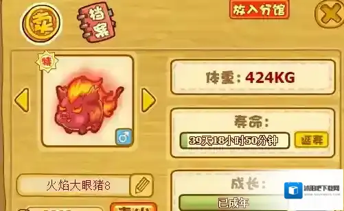 摩尔庄园手游肥肥馆怎么养猪？摩尔庄园手游肥肥馆养猪技巧