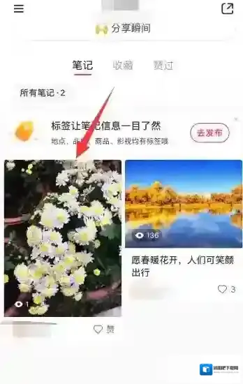 小红书作品