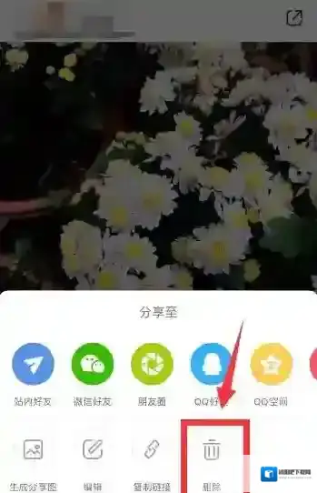 小红书在我