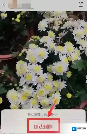 小红书确认删除