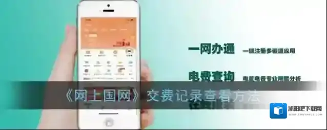网上国网点击