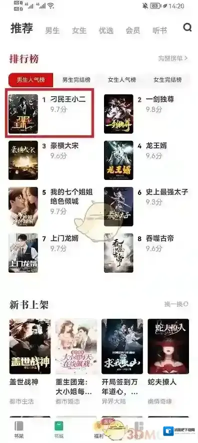 书旗小说评论