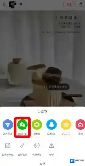 小红书分享