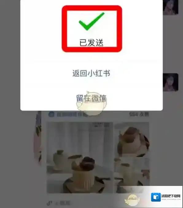 小红书选择