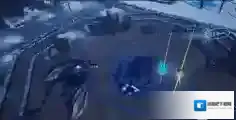 冰原守卫者动物