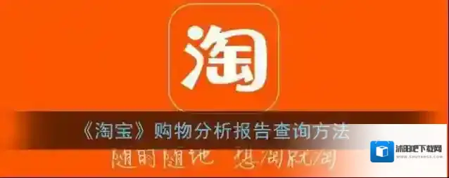 淘宝网账单