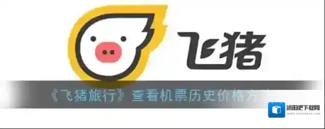 飞猪旅行机票