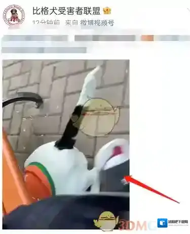 微博缓存