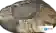FGO礼装