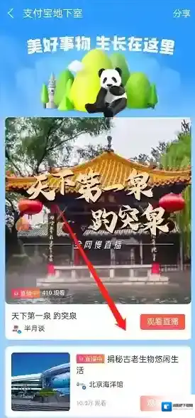 支付宝你就