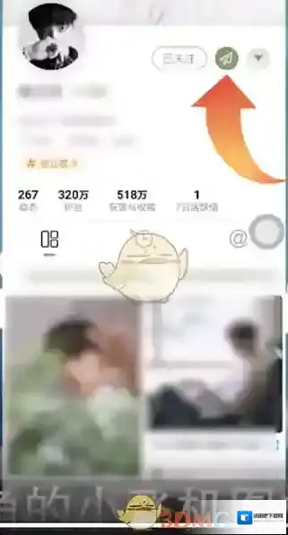 新浪绿洲关注