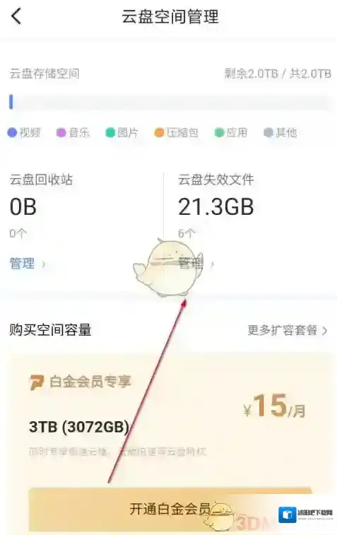迅雷成功了