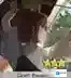 FGO主线