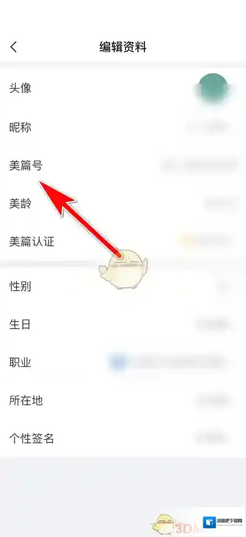 美篇内容