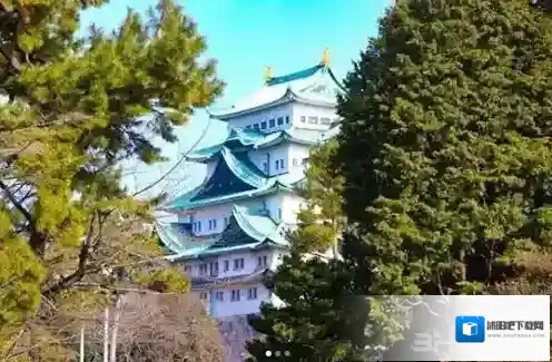 旅行青蛙照片