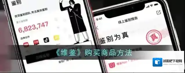 雅鉴维鉴