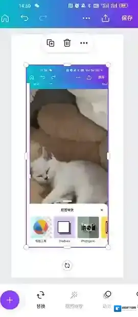 Canva 可画圆形