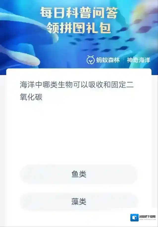 支付宝孢子植物