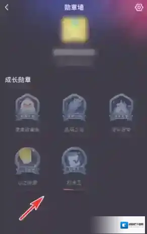 皮皮陪玩皮皮