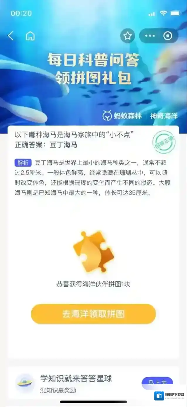 支付宝体色