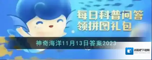 猜一猜以下哪-种海洋生物属于节肢动物