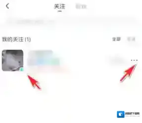 皮皮陪玩选项