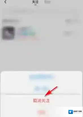 皮皮陪玩陪玩