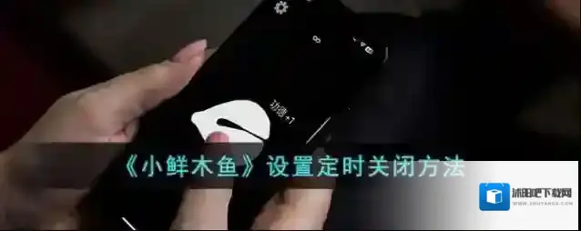 小鲜木鱼木鱼