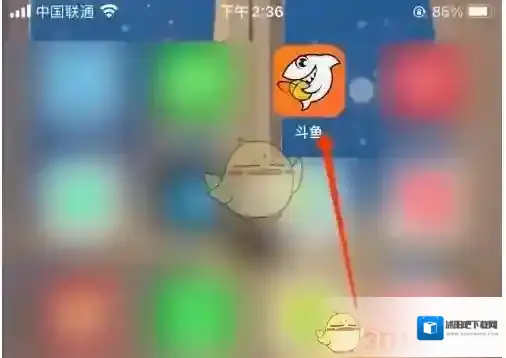 斗鱼直播内容